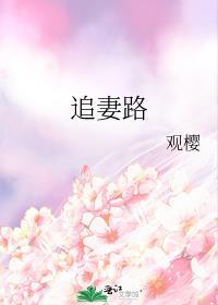 追妻路漫漫 短剧