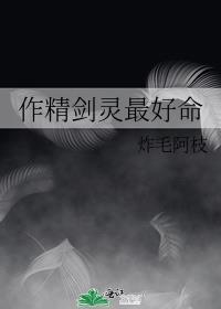 剑灵精气需要多少个打满