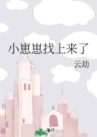 小崽崽找上来了番外TXT
