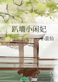 趴墙小宠妾