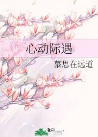 心动际遇在线阅读