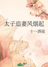 太子追妻风烟起讲的什么