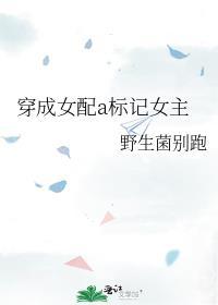 穿成女alpha之后殊于全文免费阅读百度