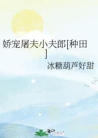 娇宠屠夫小夫郎宁乘风岳茗