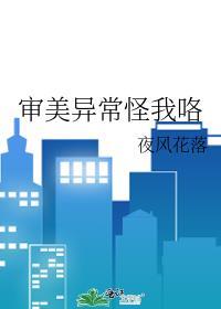 审美有问题什么意思