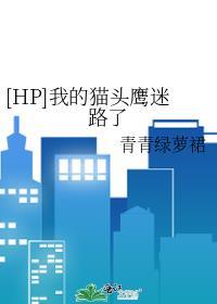 hp我的猫头鹰迷路了txt全本