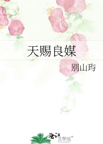 天赐良媒免费阅读全文无弹窗
