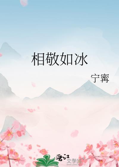 相敬如冰宁寗txt百度