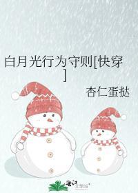 白月光行为守则晋江