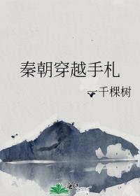 秦朝穿越手札讲什么内容