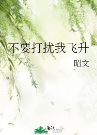 别打扰我飞升