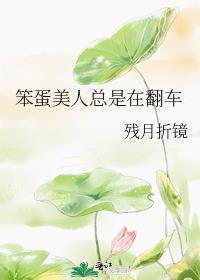 做猫好又不被人类吃又不用赚钱