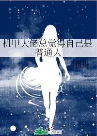 机甲大佬的儿子