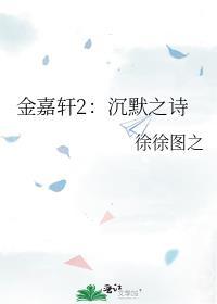 金嘉轩2沉默之诗番外