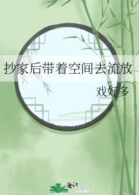 抄家流放带空间推荐
