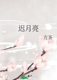 林间有风绿叶藏光全诗