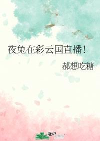 夜兔在彩云国男扮女装txt