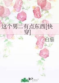 这个男二有点东西晋江