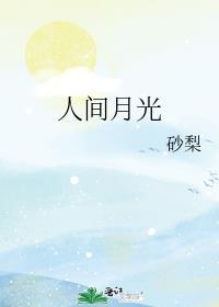 人间月下一句是什么
