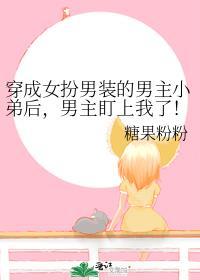 穿越成男扮女装的男配后