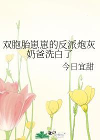 双胞胎儿砸是反派炮灰