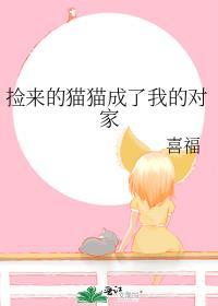 捡到的猫猫成了老婆