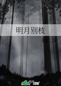 明月别枝惊全诗