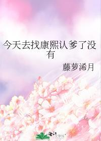 今天去找康熙认爹的章节
