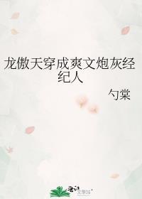 龙傲天穿成爽文炮灰经纪人TXT
