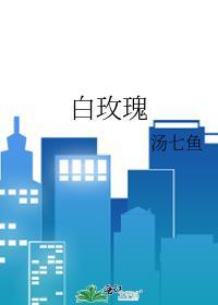 白玫瑰粤语歌词