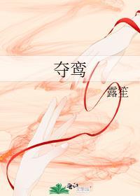 电影美凤夺鸾