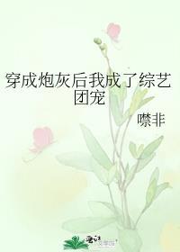 穿成炮灰后我成了团宠娱乐圈甜酒煮梨