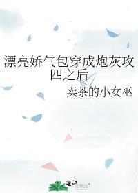 漂亮娇气包穿成炮灰攻四之后 卖茶的小女巫