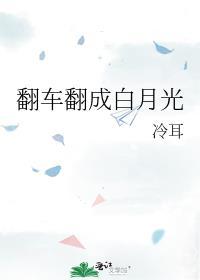 翻车翻成白月光作者冷耳