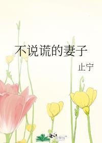 不说谎的妻子止宁