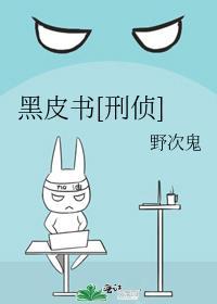黑皮书1080p
