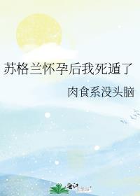 苏格兰更