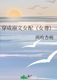 穿成女配文中原女主无防盗