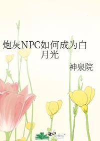 炮灰nps如何成为白月光神泉免费阅读