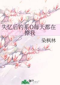 失忆后钓系O每天都在撩番外