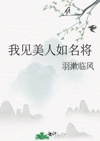 我见美人如名将是主攻文吗