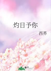 灼日予你全文免费阅读