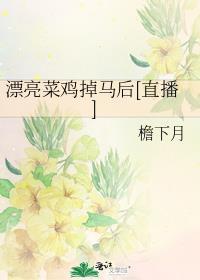 漂亮菜有哪些