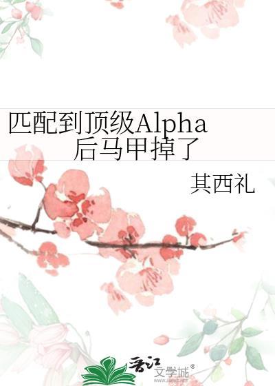 叠映揽月