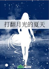 打翻月光的夏天追求网