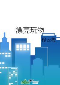 漂亮玩具屋