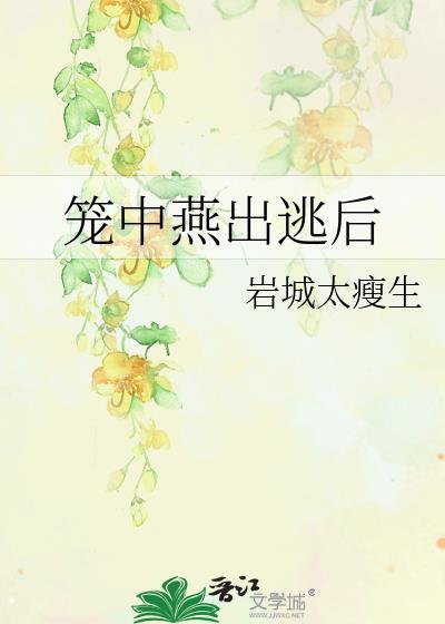 四爷的穿越文