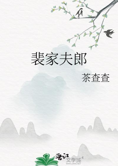 裴家夫郎全集免费阅读