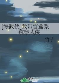 穿越有盲盒系统的