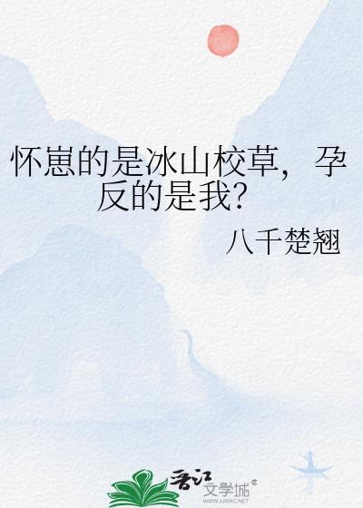 冰山O怀崽txt